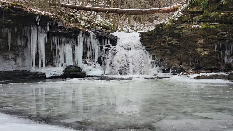 Winter Visits: Cross-Country Skiing and Snowmobiling in the Mountains