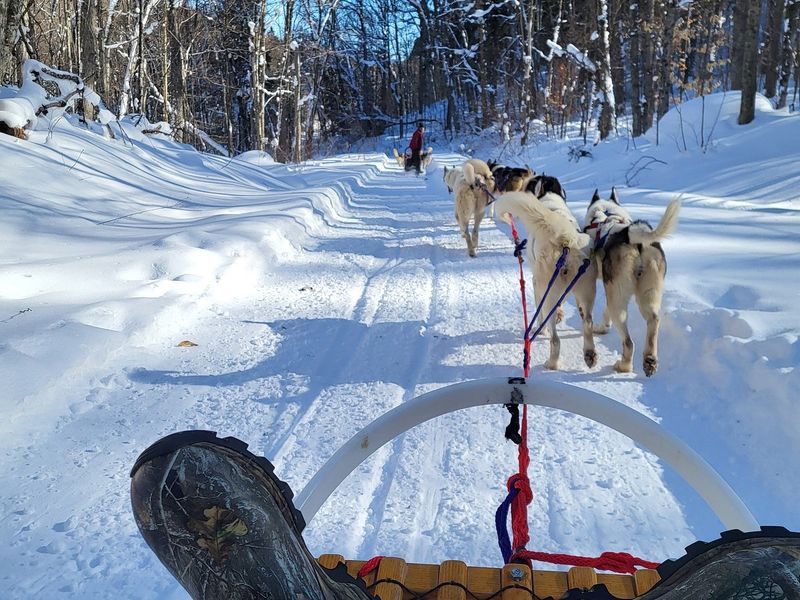 Winter Visits Offer a Completely Different Kind of Magic