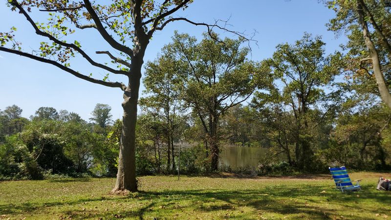 Wolfe's Pond Park — More Than Just a Beach Wolfe's Pond Park — More Than Just a Beach