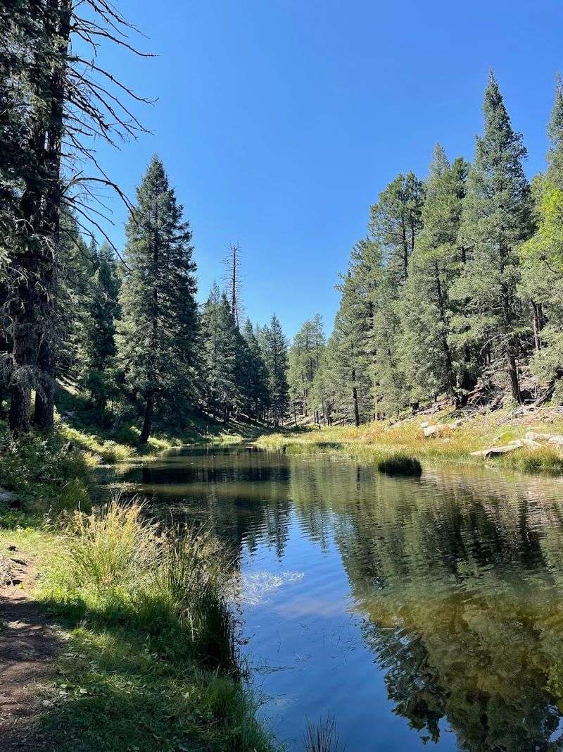 Woods Canyon Lake