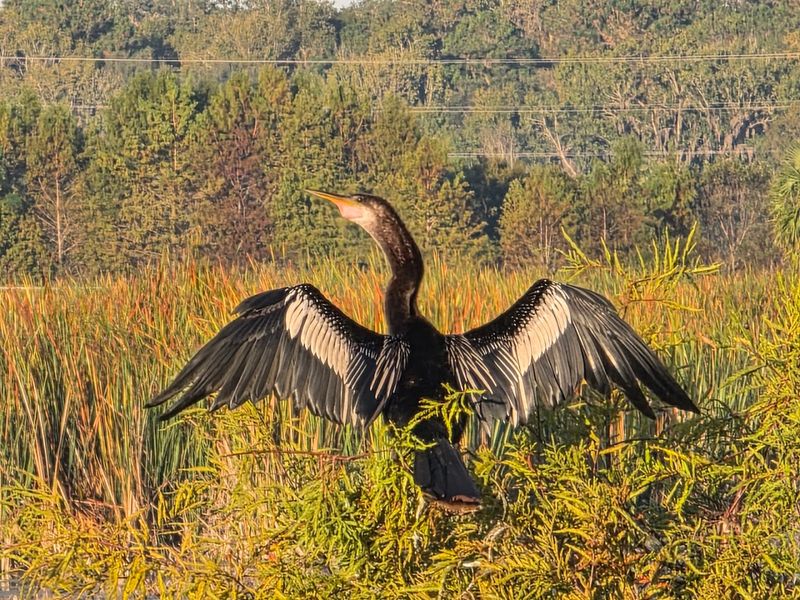 World-Class Bird Watching Across Every Habitat