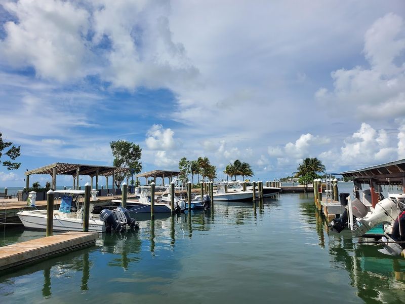 World-Class Sport Fishing That Anglers Rave About World-Class Sport Fishing That Anglers Rave About