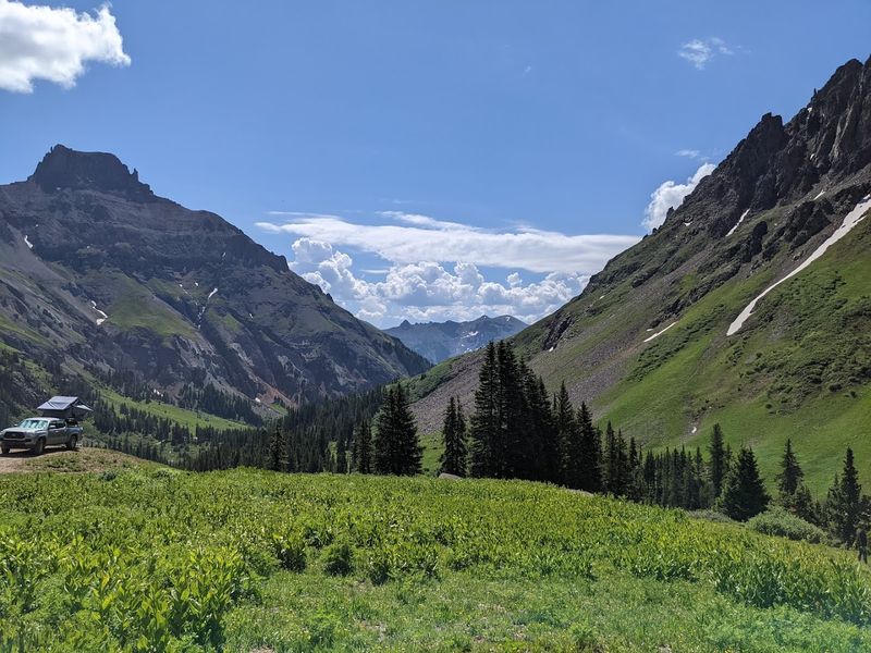Yankee Boy Basin: Colorado Wildflowers at Their Most Spectacular