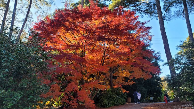 Year-Round Beauty That Changes With Every Season