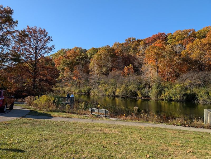 Year-Round Camping That Welcomes Every Season