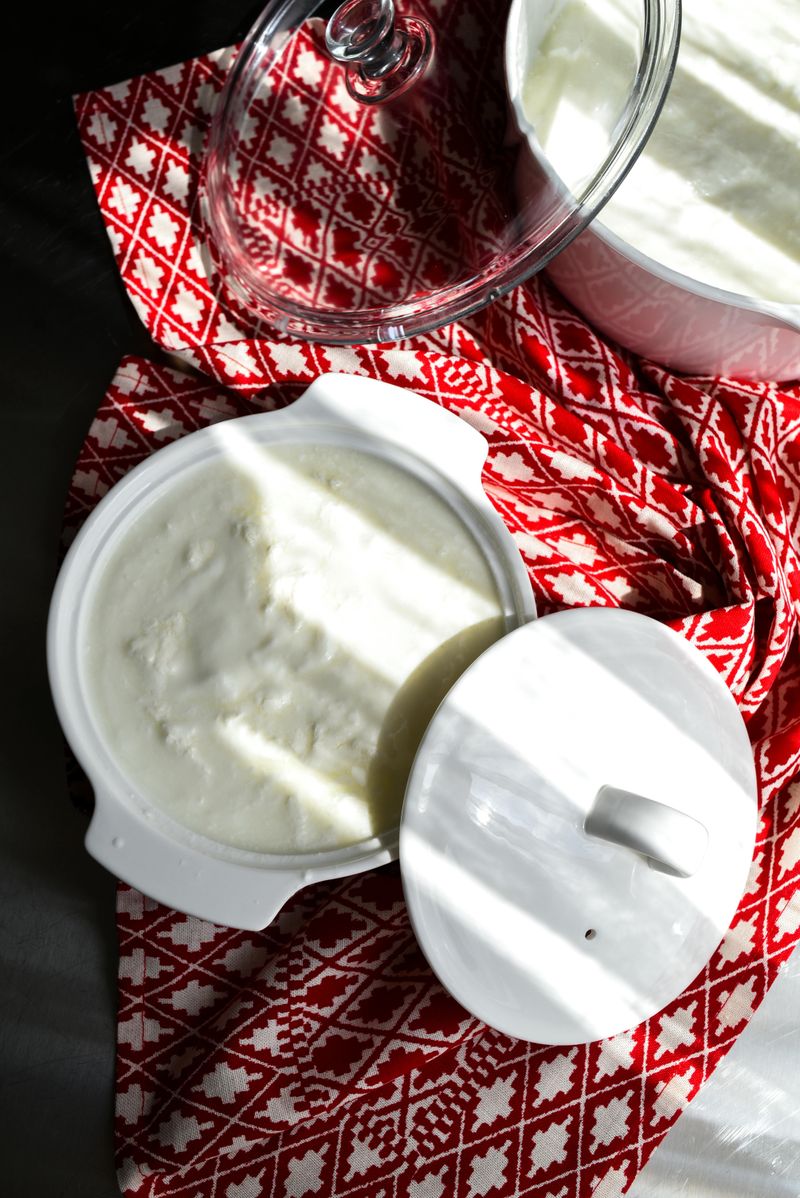 Yogurt