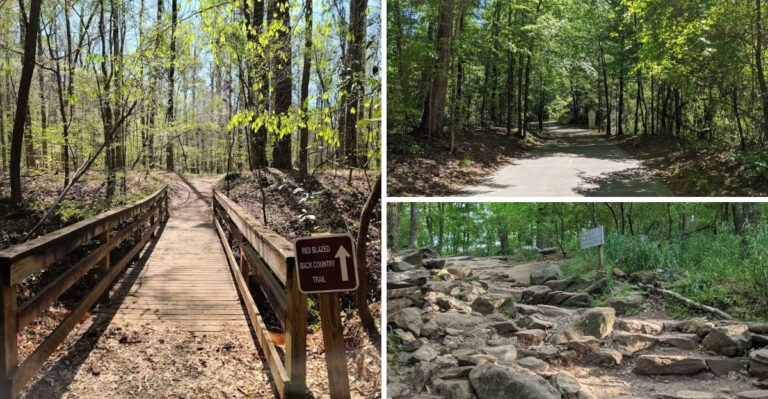 You don’t need to be an expert hiker to enjoy these 12 easy Georgia trails under 5 miles