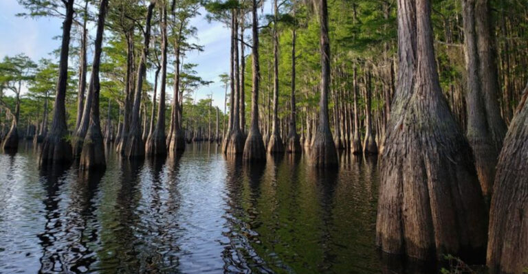 You won’t believe these 13 gorgeous fairytale-like places are actually hiding in Georgia