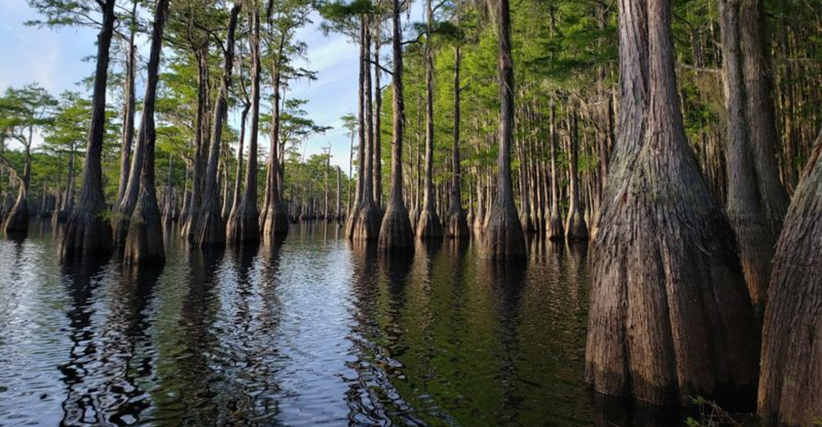 You wont believe these 13 gorgeous fairytale like places are actually hiding in Georgia