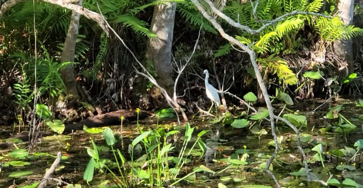 Youll want to plan a trip to this gorgeous Florida state park before everyone else discovers it