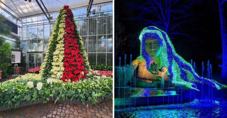 Your first visit to this magical botanical garden in Georgia is something you’ll never forget