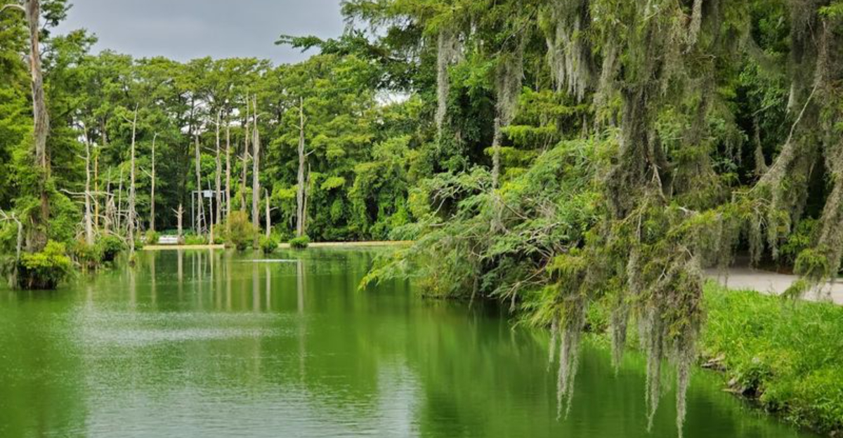 Your first visit to this magical botanical garden in Texas is something youll always remember