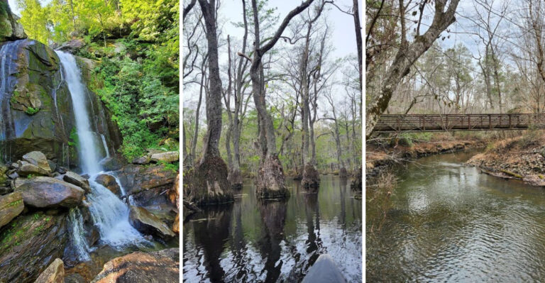 You’ve probably never explored these 13 incredible parks hidden across North Carolina