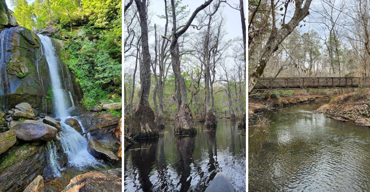 Youve probably never explored these 13 incredible parks hidden across North Carolina