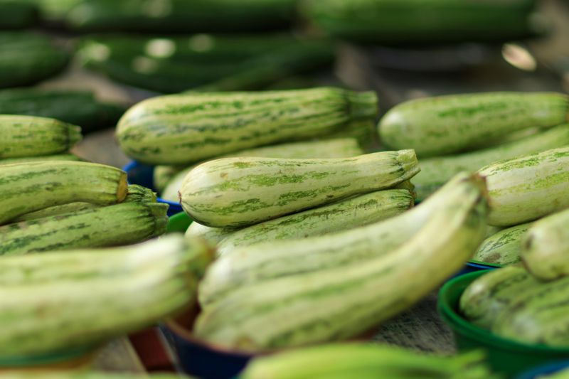 Zucchini