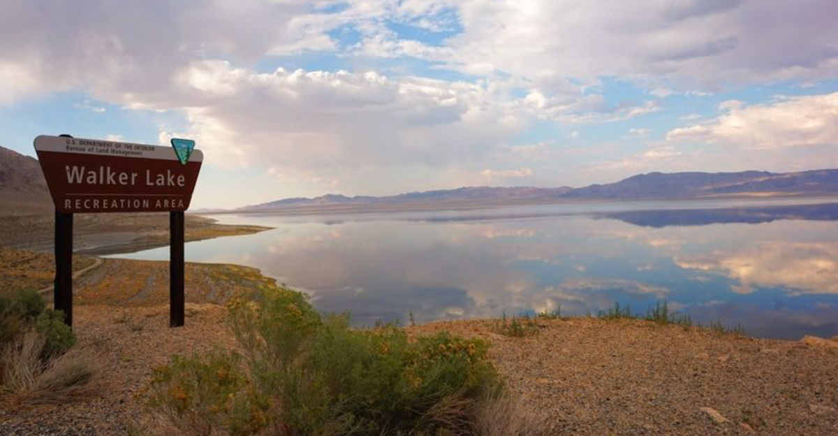 12 Nevada treasures that locals wish stayed a secret