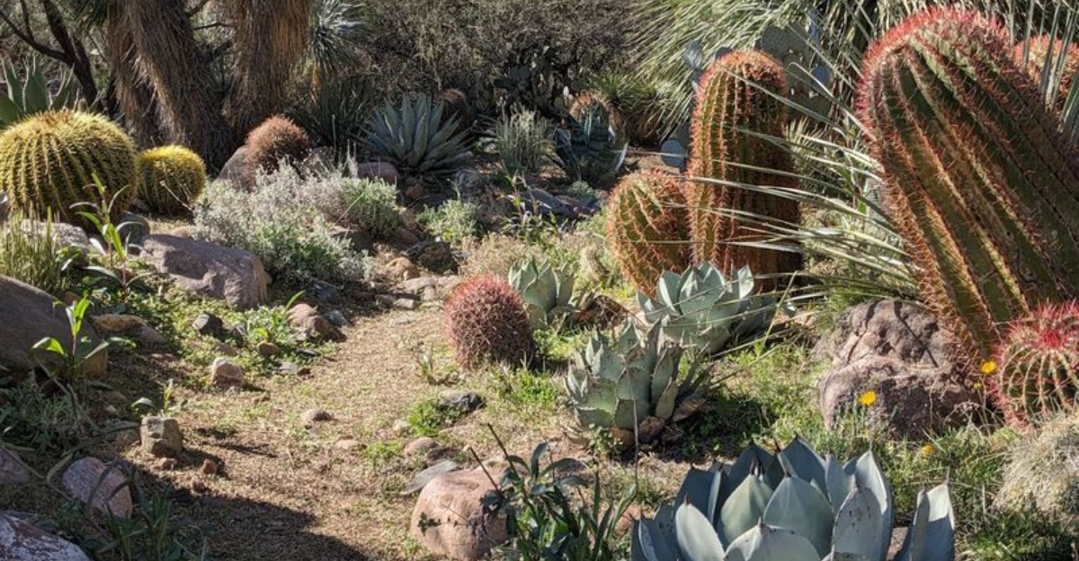 12 hidden Arizona escapes that feel worlds away from everyday life