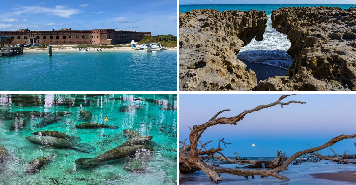 13 magical places in Florida that feel far away from the crowds