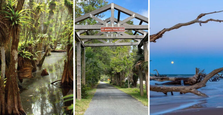 13 underrated Florida state parks that feel like secret getaways