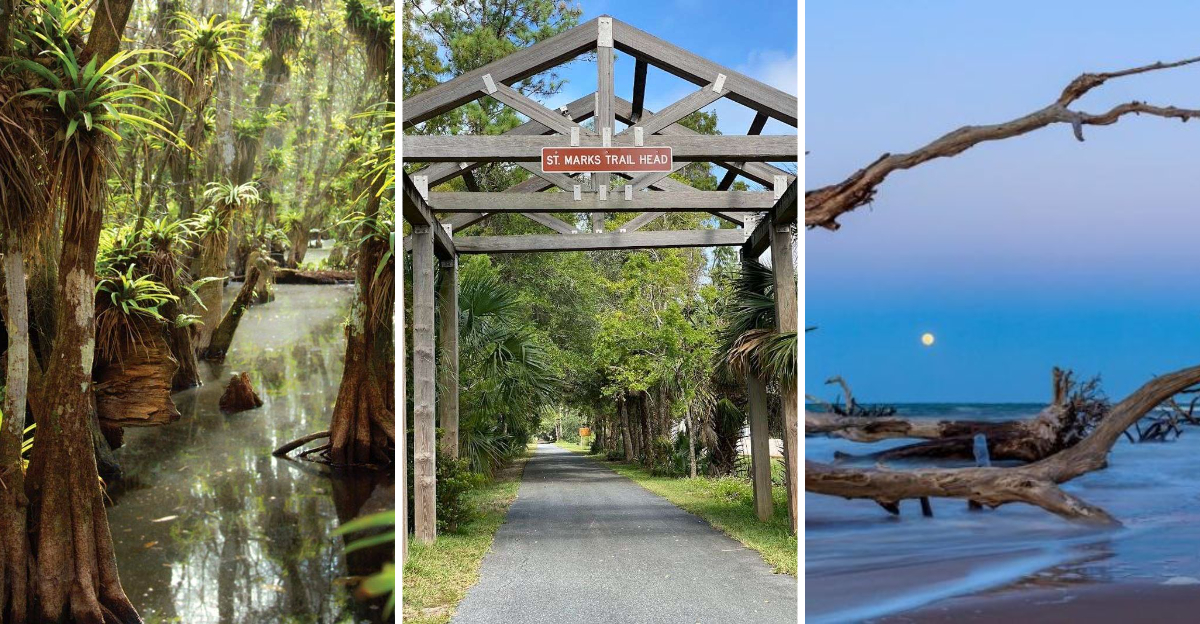 13 underrated Florida state parks that feel like secret getaways