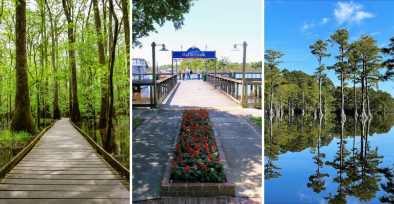 14 underrated South Carolina destinations that deserve far more attention