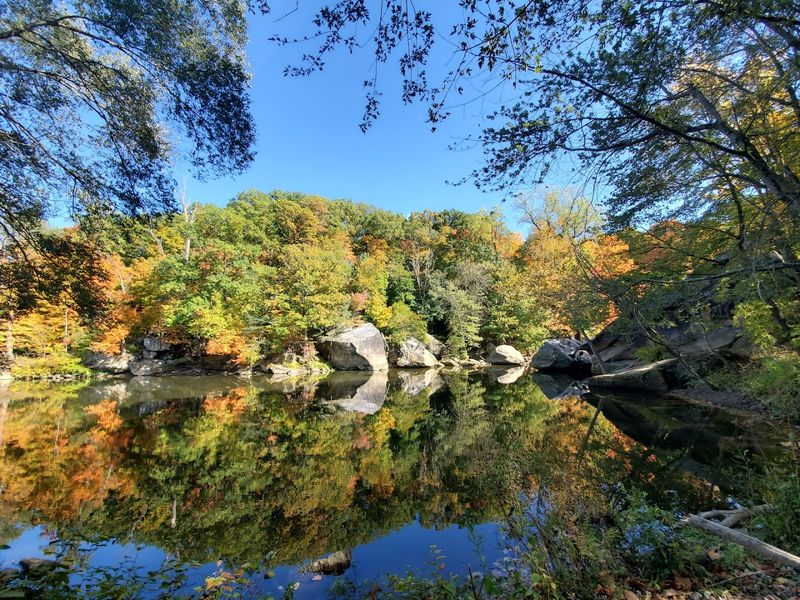 145 Acres of Lush Forest to Explore 145 Acres of Lush Forest to Explore