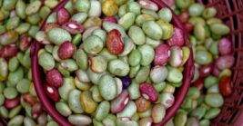 17 Foods That Help Lower Cholesterol (Besides Oatmeal)