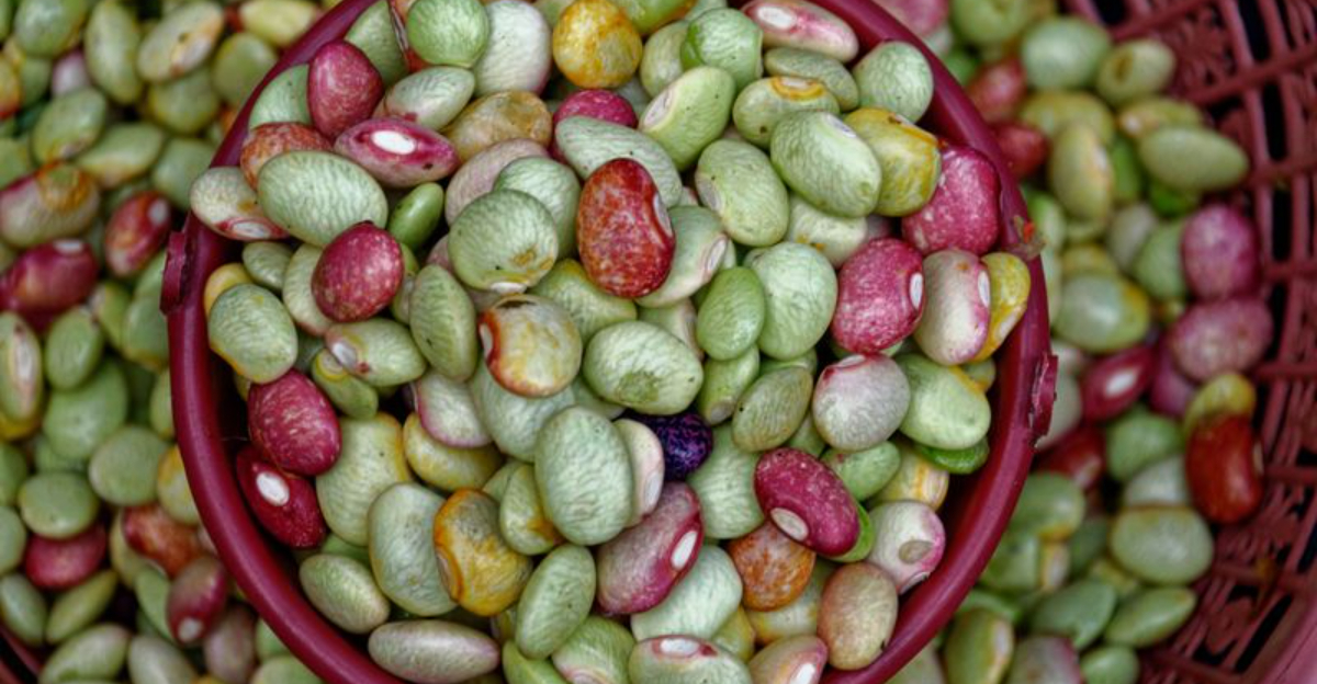 17 Foods That Help Lower Cholesterol Besides Oatmeal