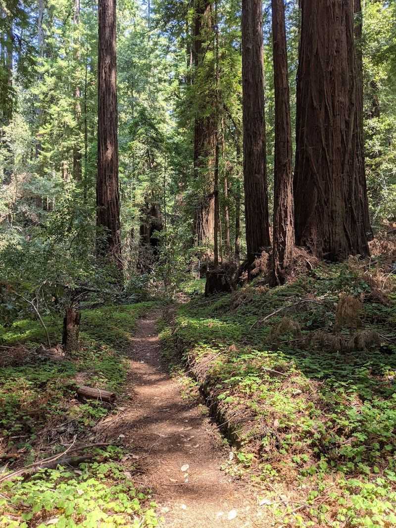 18 Miles of Well-Maintained Hiking Trails