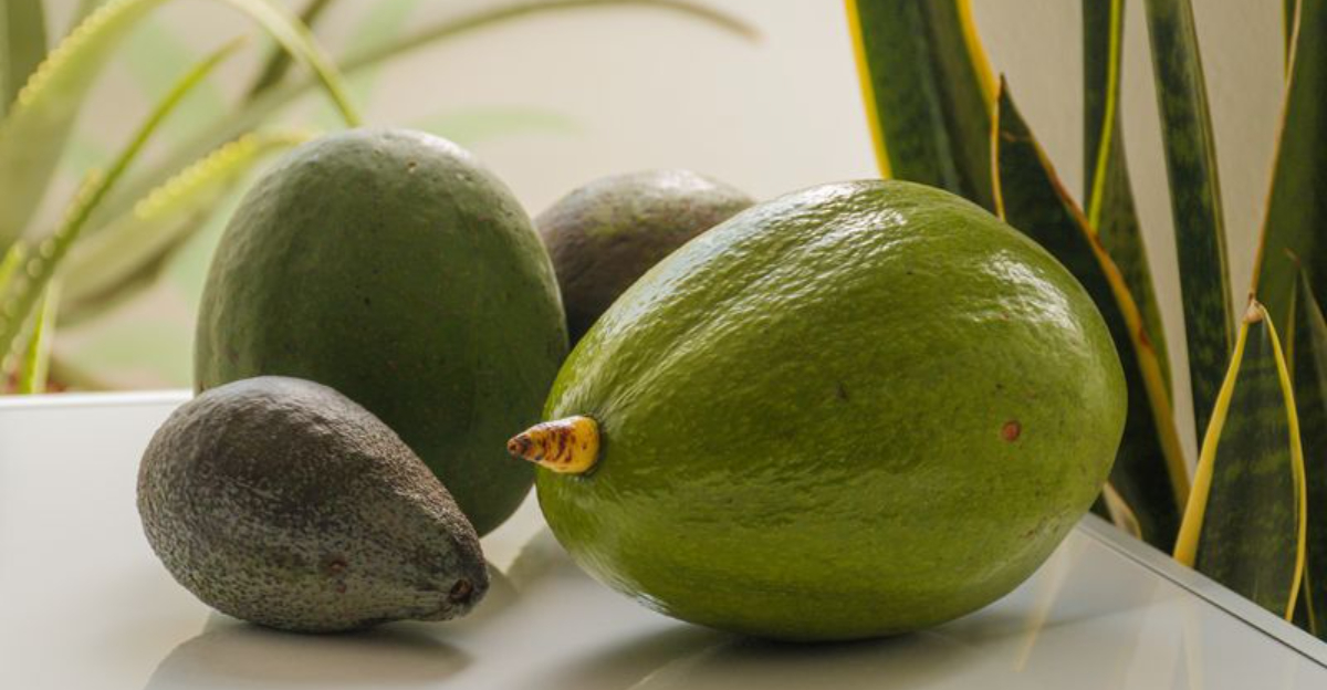 19 Healthy Fat Foods That Deserve a Permanent Spot in Your Kitchen