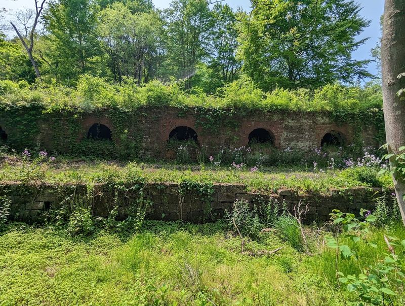 200 Dome-Shaped Ovens Still Standing in the Woods