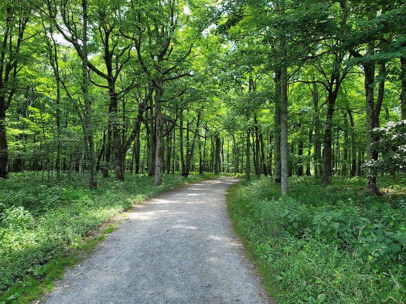 25 Miles of Well-Maintained Trails 25 Miles of Well-Maintained Trails