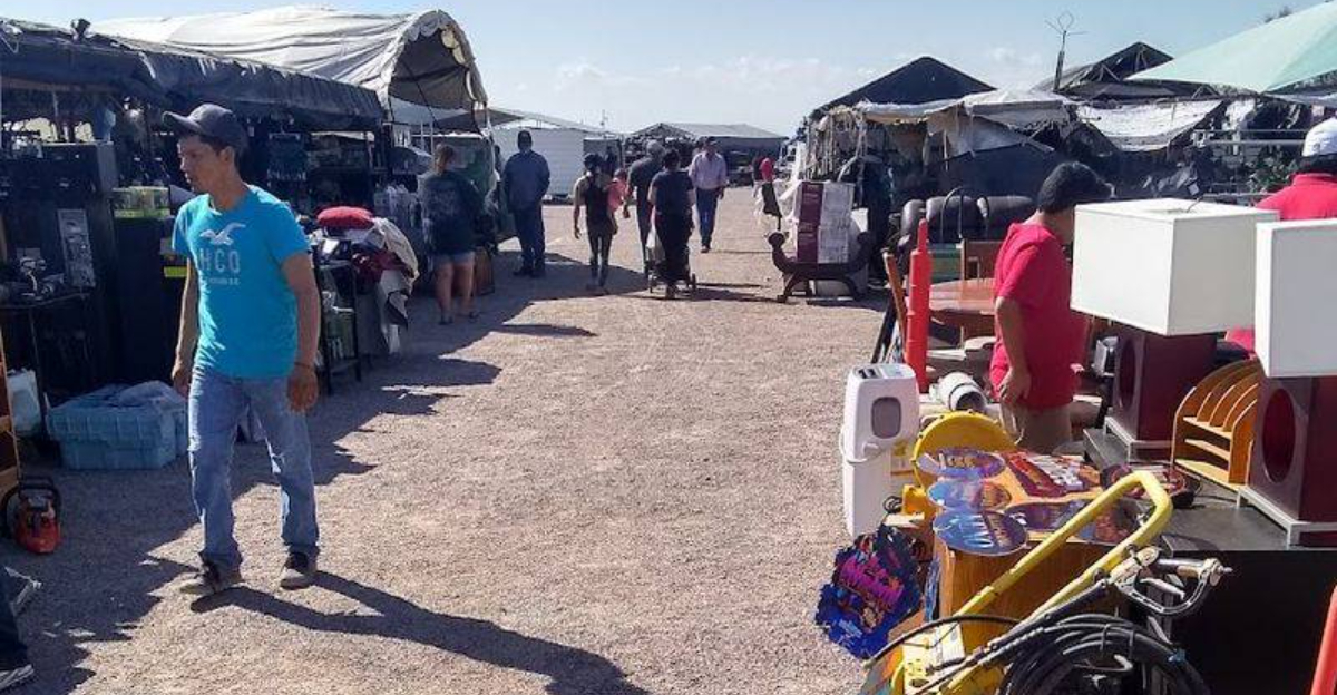 6 Underrated Arizona Swap Meets Every Bargain Hunter Should Know About