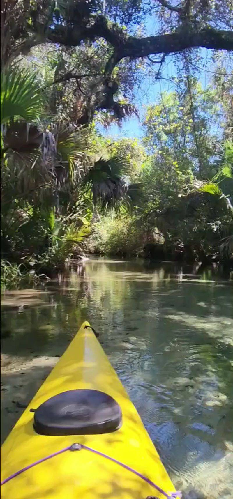 A 7-Mile Kayak Run Through Pure Wilderness