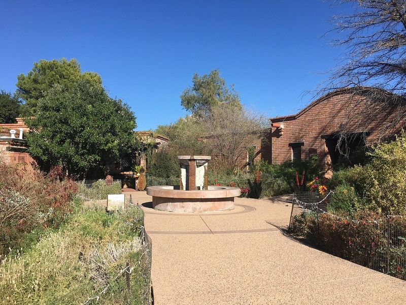 A Backyard Garden Inspiration Hub A Backyard Garden Inspiration Hub