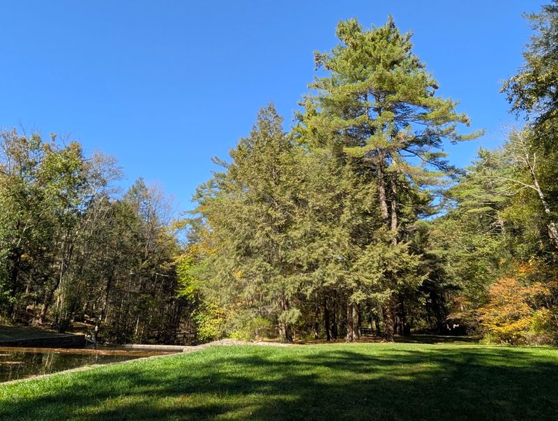 A Baseball Field Hidden in the Pennsylvania Mountains