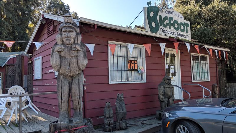 A Beloved Roadside Attraction That Almost Disappeared