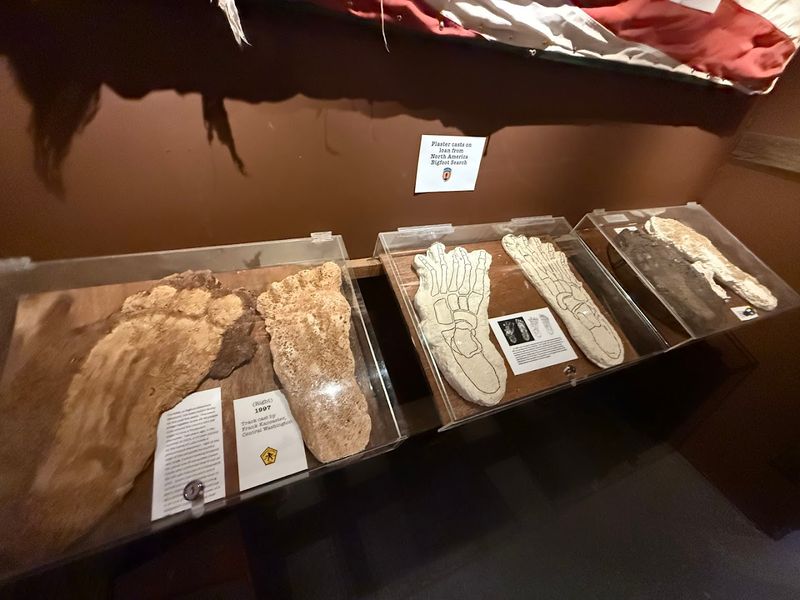 A Bigfoot Museum Hidden Inside a Gift Shop