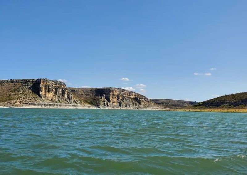 A Birding and Wildlife Paradise in the Desert