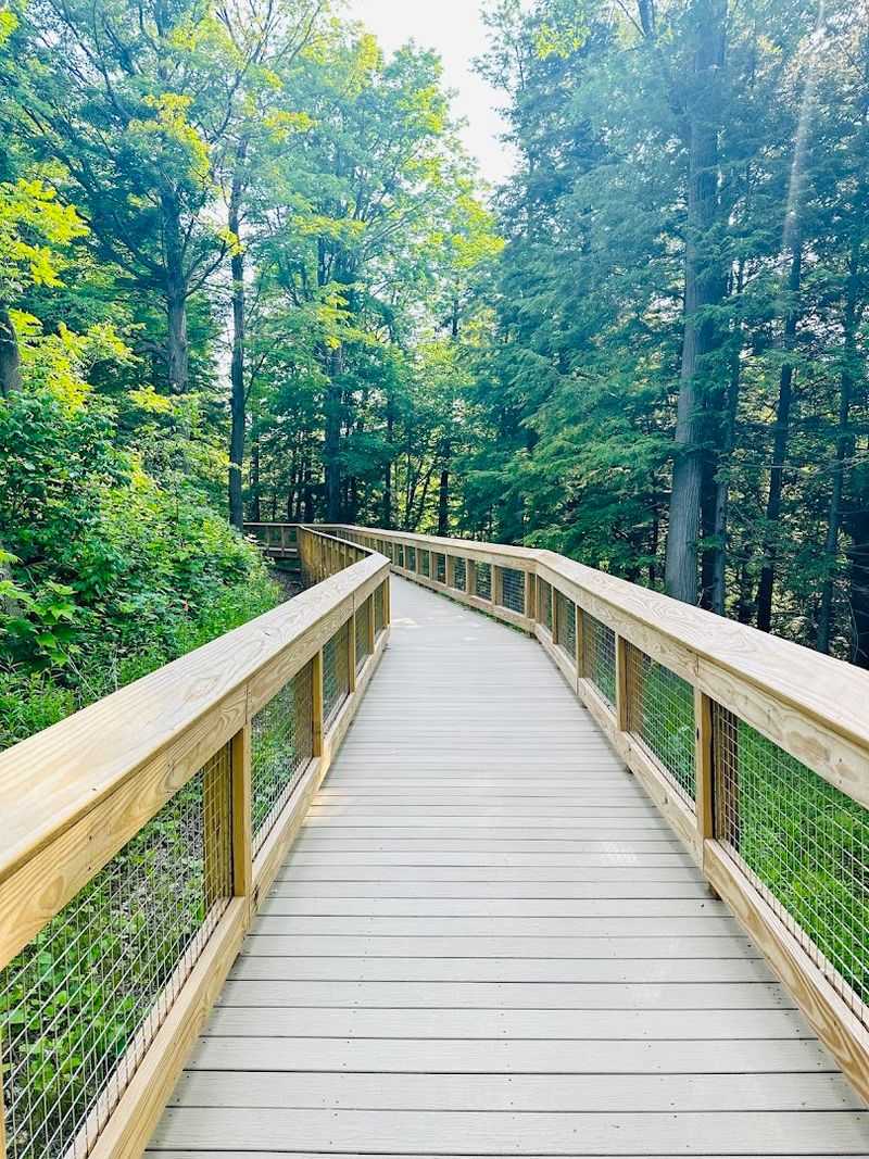 A Boardwalk Built for Everyone