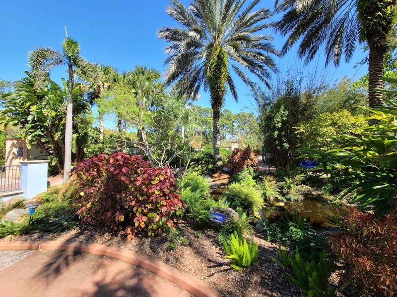 A Butterfly Garden Worth Buzzing About
