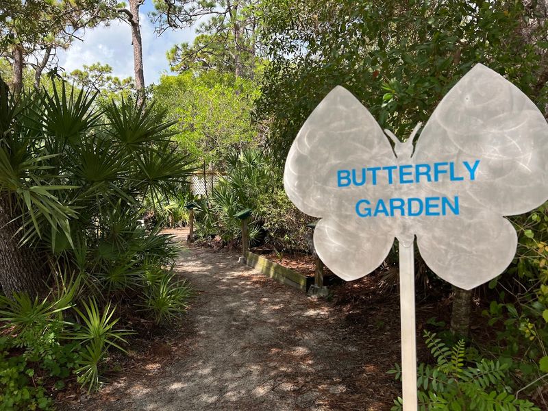 A Butterfly Wings Photo Spot That Everyone Loves A Butterfly Wings Photo Spot That Everyone Loves