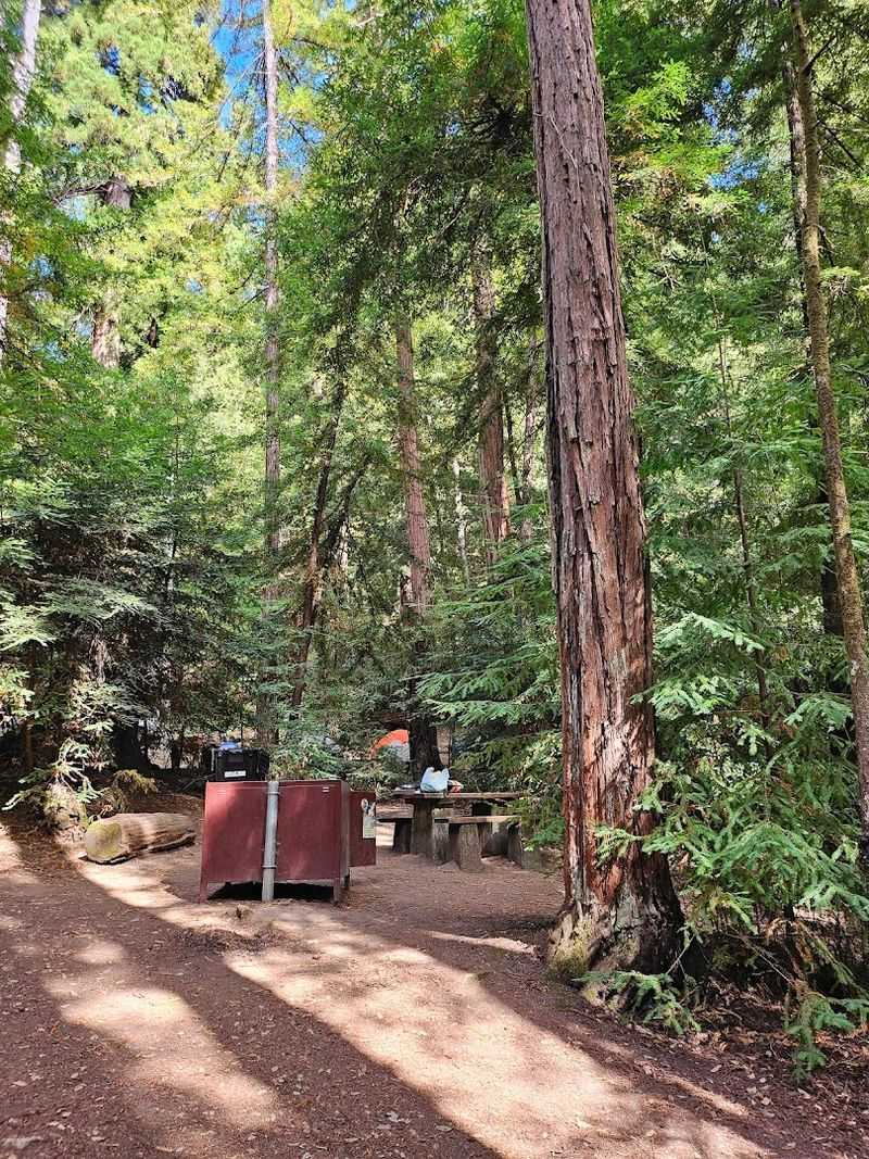 A Campground That Feels Like a True Forest Escape