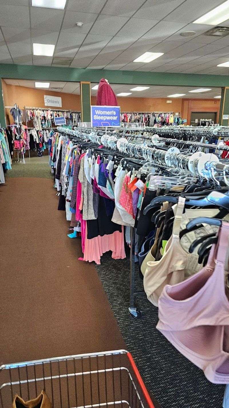 A Clothing Section Organized by Category, Size, and Color