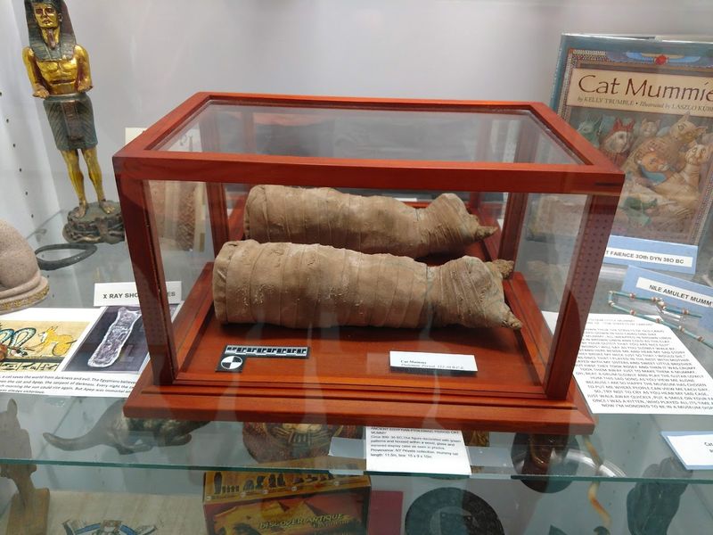 A Collection That Spans Thousands of Years