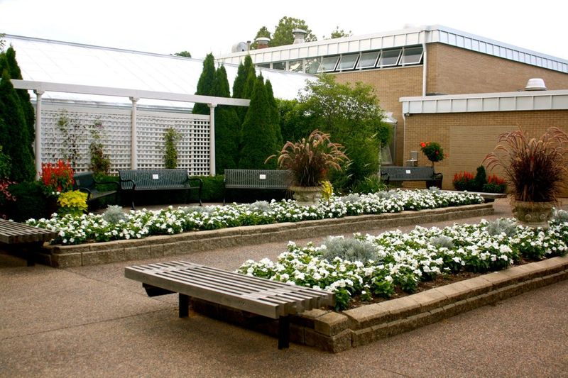 A Community Gathering Place With Heart and History