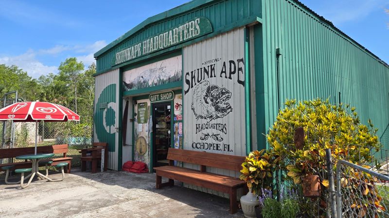 A Community Hub With Live Music and Local Vibes