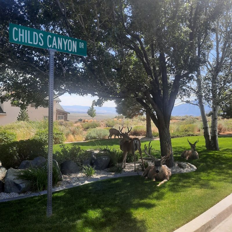A Community That Still Feels Like Neighbors A Community That Still Feels Like Neighbors