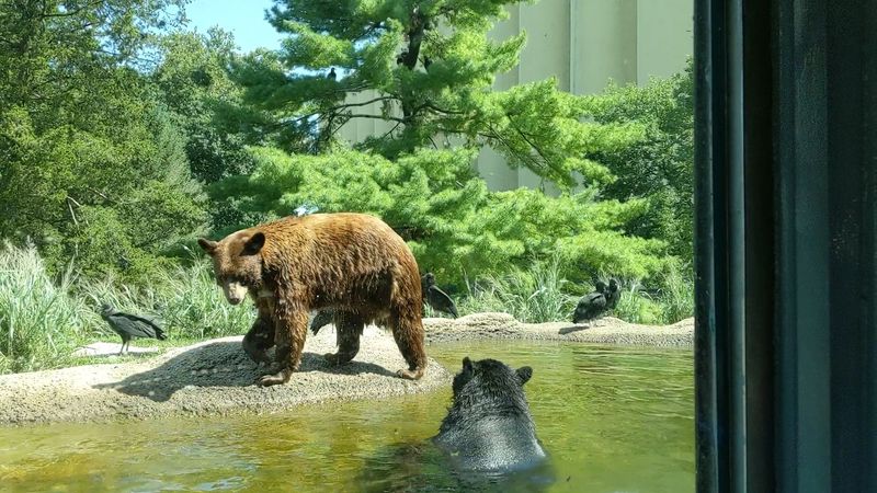 A Compact Zoo That Packs a Surprising Punch