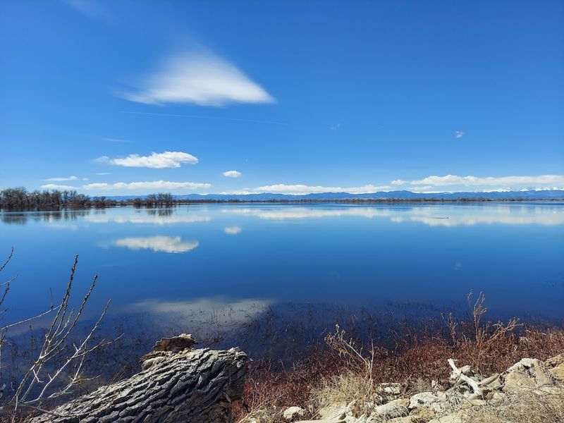 A Conservation Success Story Worth Knowing